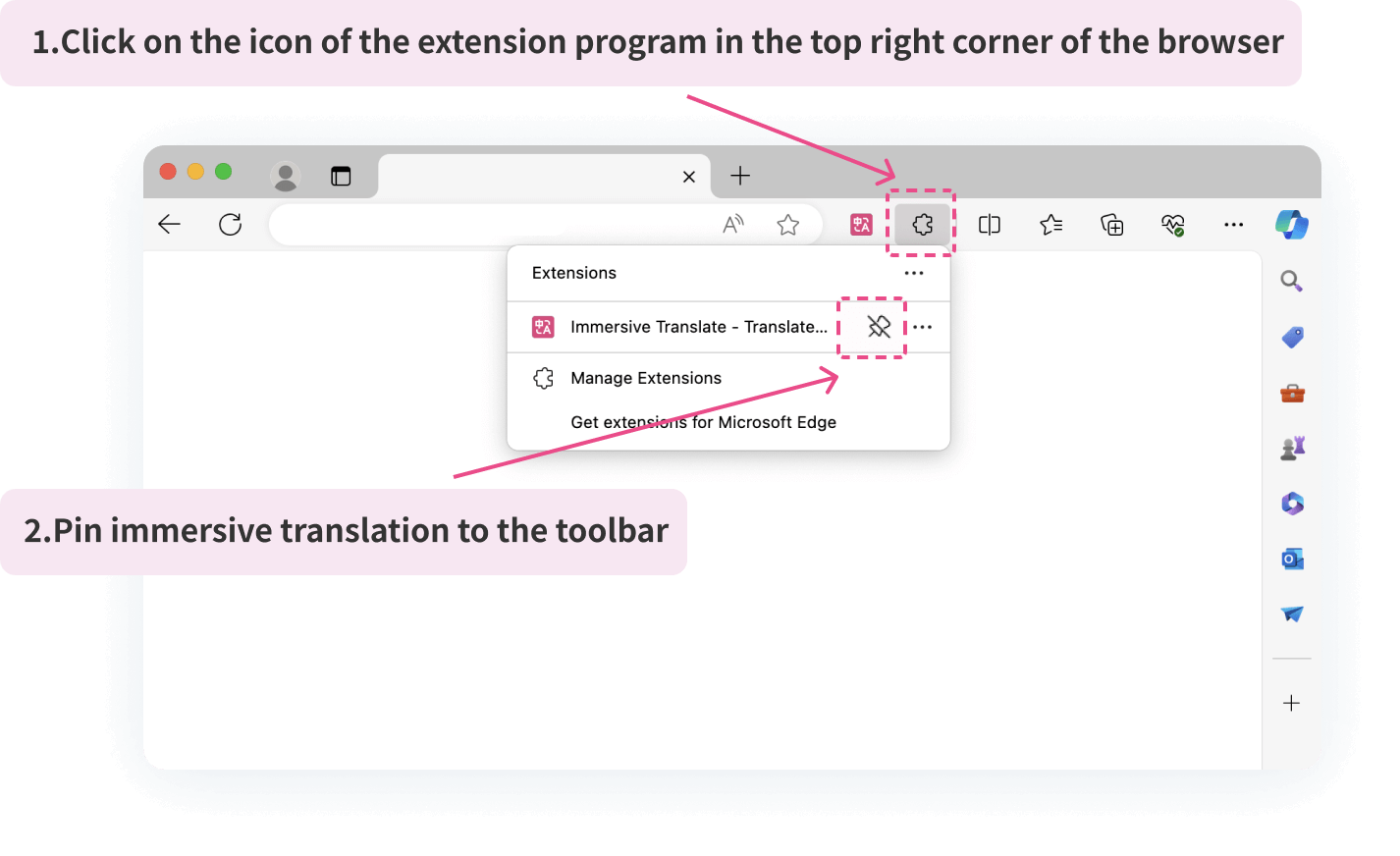 immersive translate guide